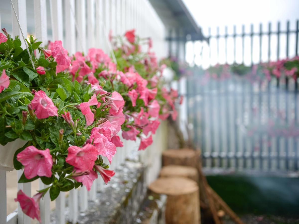 Hostel Bonjour Dalat Zewnętrze zdjęcie